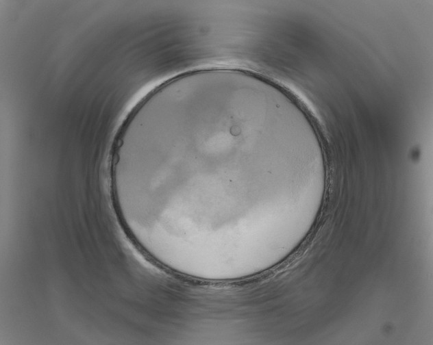 X0000116831468201001291633