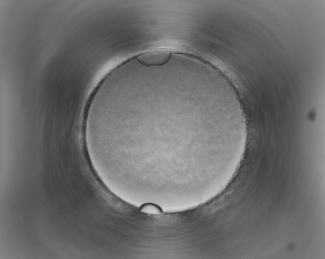 X0000116831469201001291633