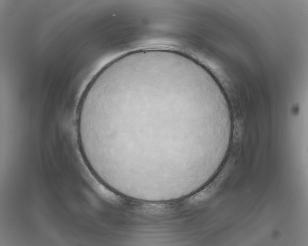 X0000116831470201001291633