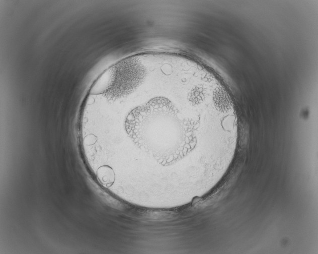 X0000116831471201001291633