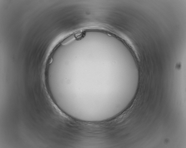 X0000116831472201001291633