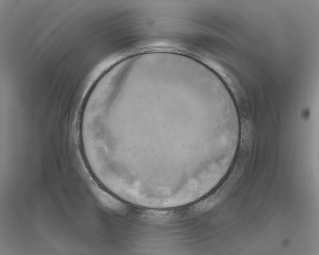 X0000116831474201001291633