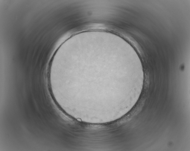 X0000116831475201001291633