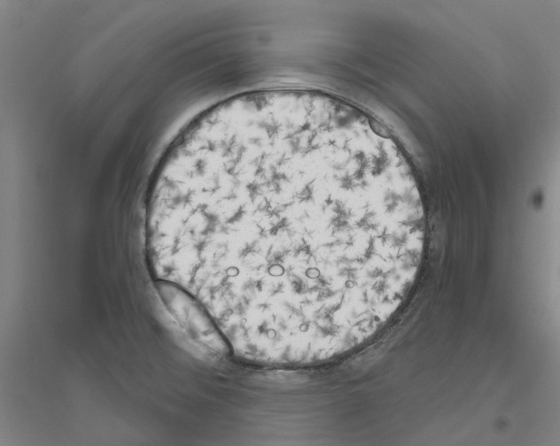 X0000116831476201001291633