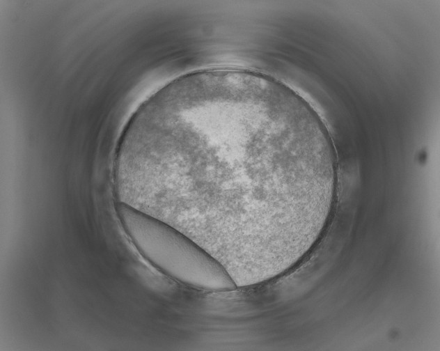 X0000116831477201001291633