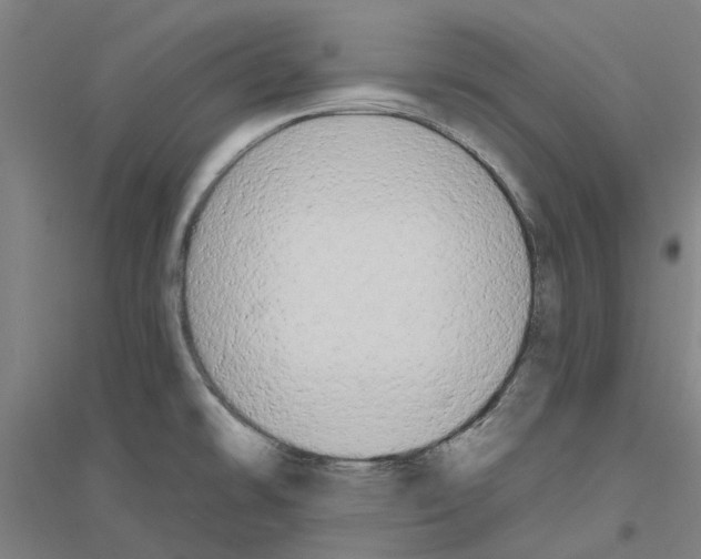 X0000116831478201001291633