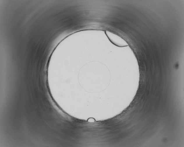 X0000116831479201001291633