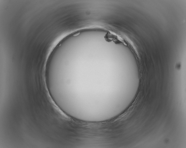 X0000116831480201001291633