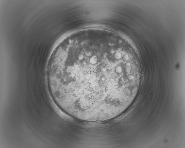 X0000116831482201001291633