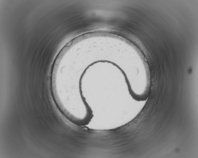 X0000116831483201001291633