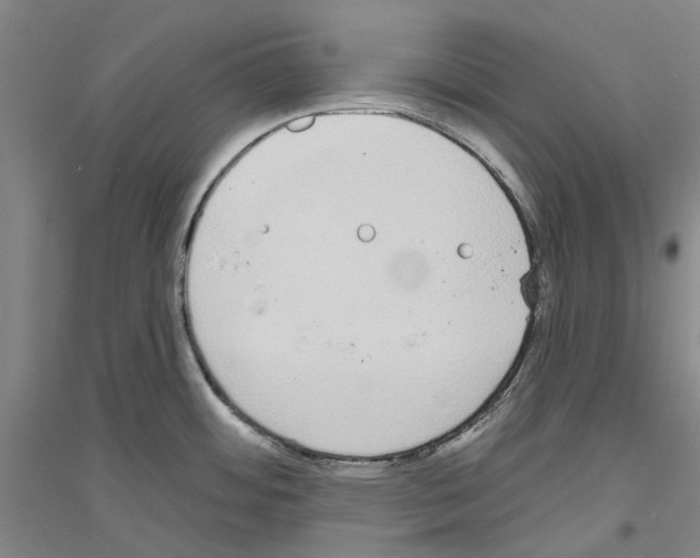 X0000116831484201001291633