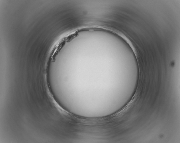 X0000116831485201001291632