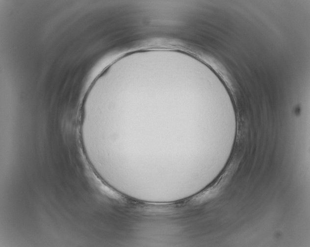 X0000116831486201001291632