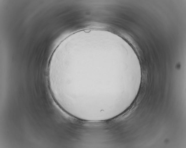 X0000116831487201001291632