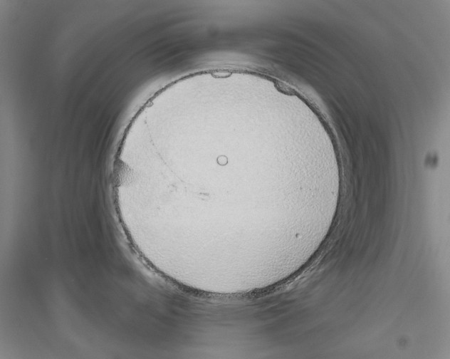 X0000116831488201001291632