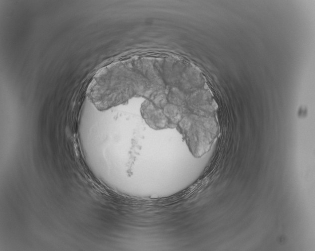 X0000116831489201001291632