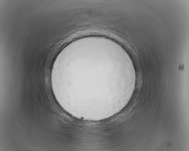 X0000116831490201001291632