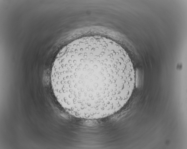 X0000116831491201001291632