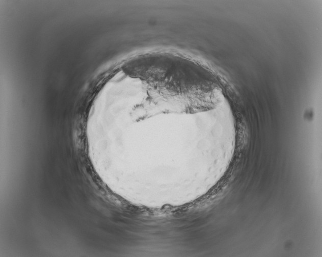 X0000116831494201001291632