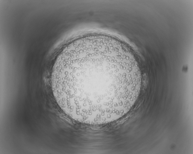 X0000116831495201001291632