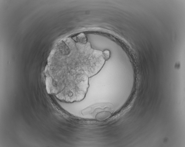 X0000116831497201001291632