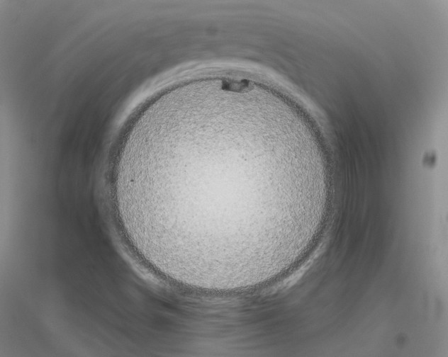 X0000116831498201001291632