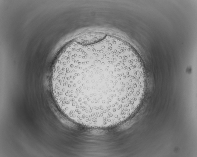 X0000116831499201001291632