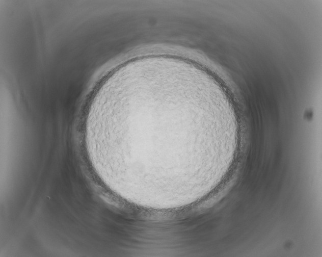 X0000116831501201001291632