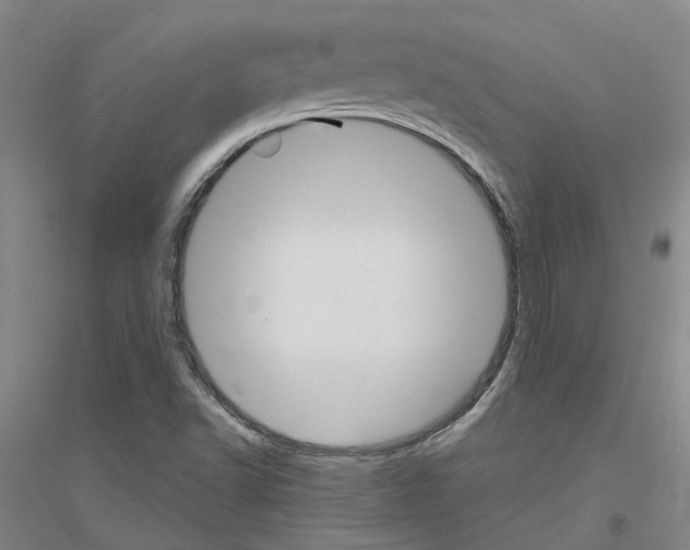 X0000116831502201001291632