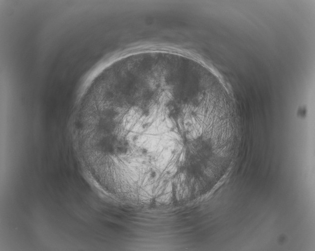 X0000116831503201001291632