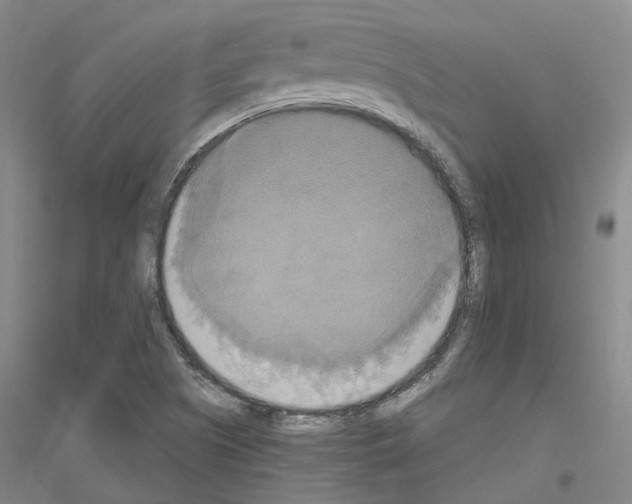 X0000116831505201001291632