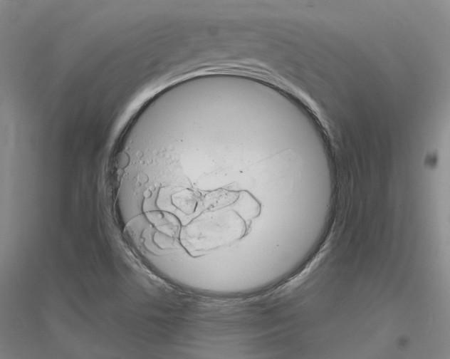 X0000116831506201001291632