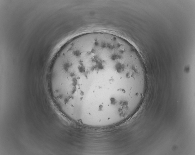 X0000116831507201001291632