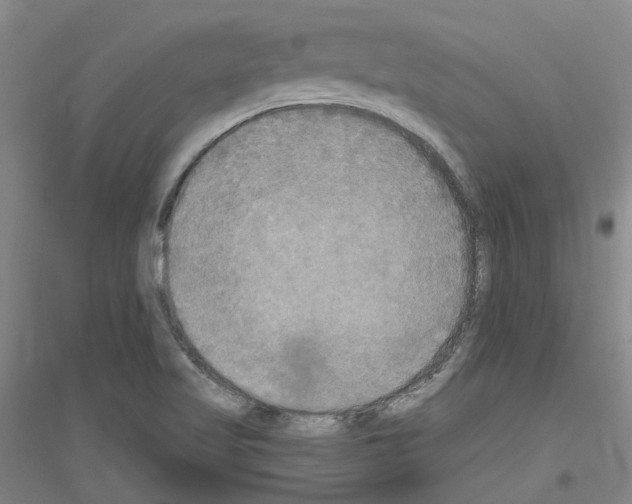 X0000116831509201001291632