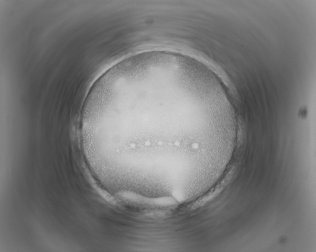 X0000116831513201001291632