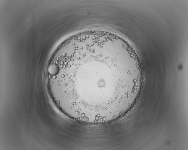 X0000116831515201001291632