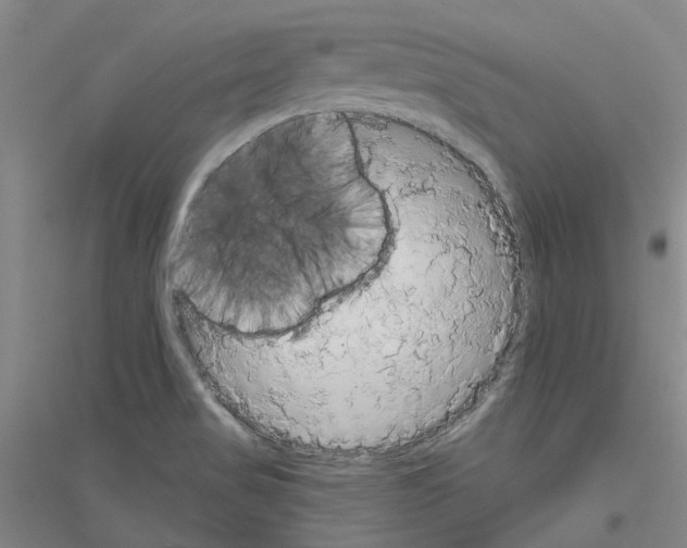 X0000116831517201001291632