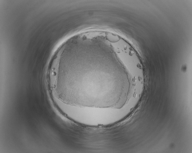 X0000116831519201001291632