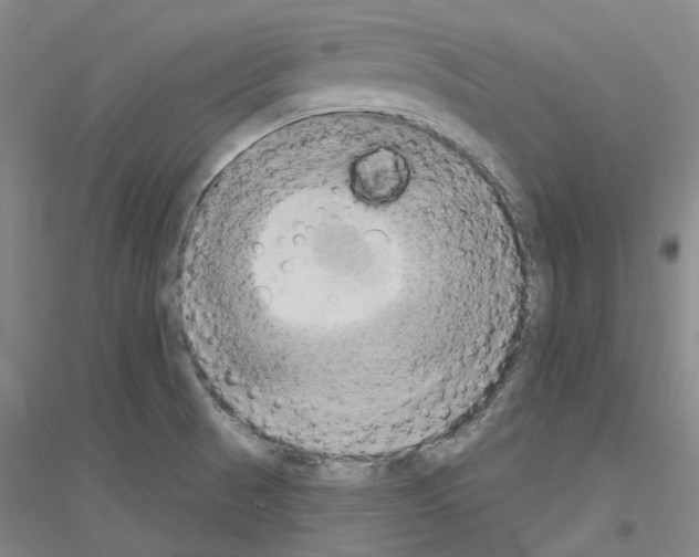 X0000116831521201001291632