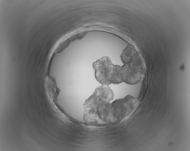 X0000116831522201001291632