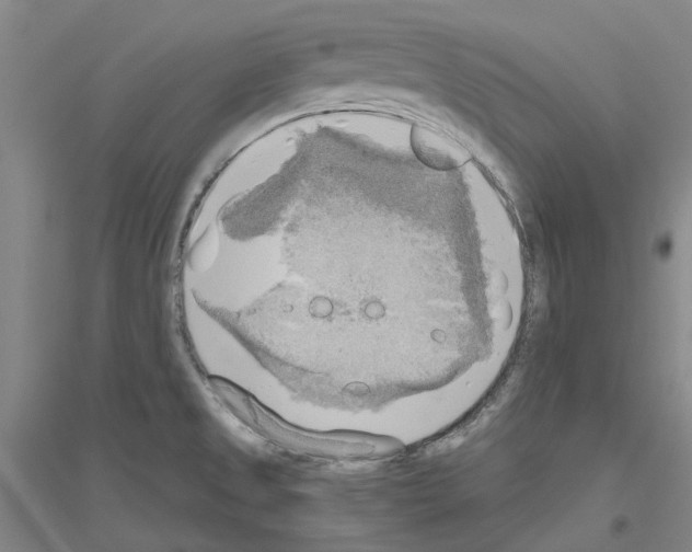 X0000116831525201001291632