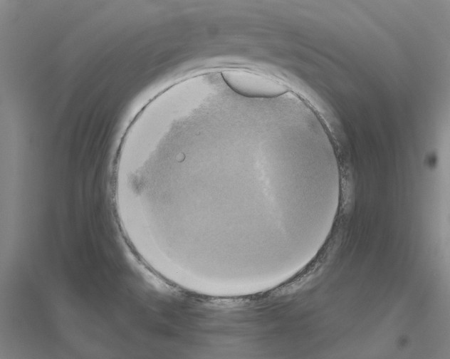 X0000116831527201001291632