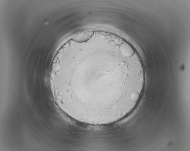 X0000116831529201001291632