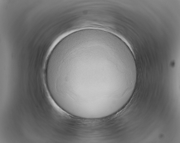 X0000116831531201001291632