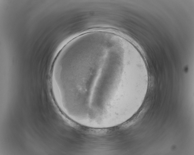 X0000116831533201001291632