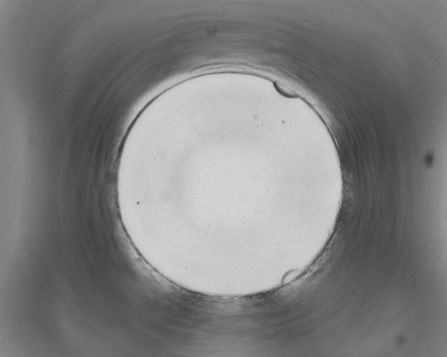 X0000116831534201001291632