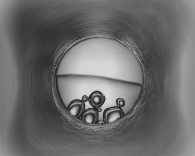 X0000116840001200912181124