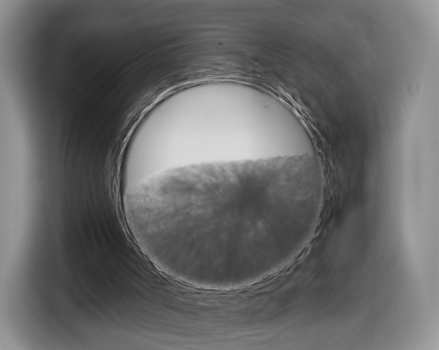 X0000116840002200912181123