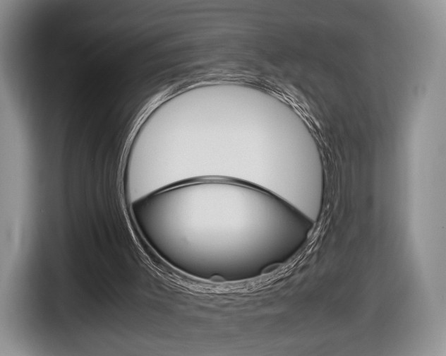 X0000116840003200912181123
