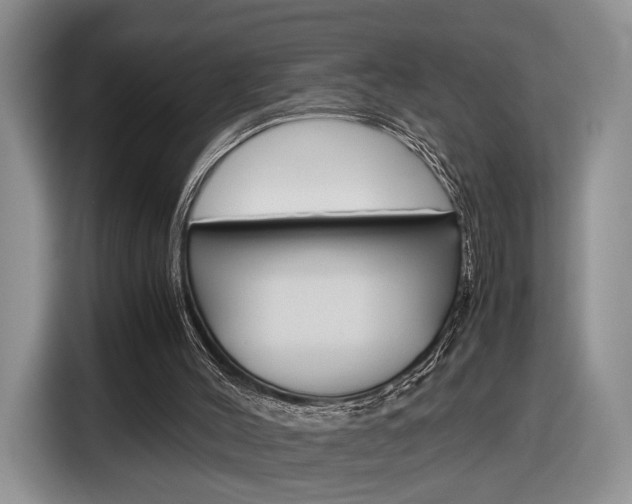 X0000116840004200912181123